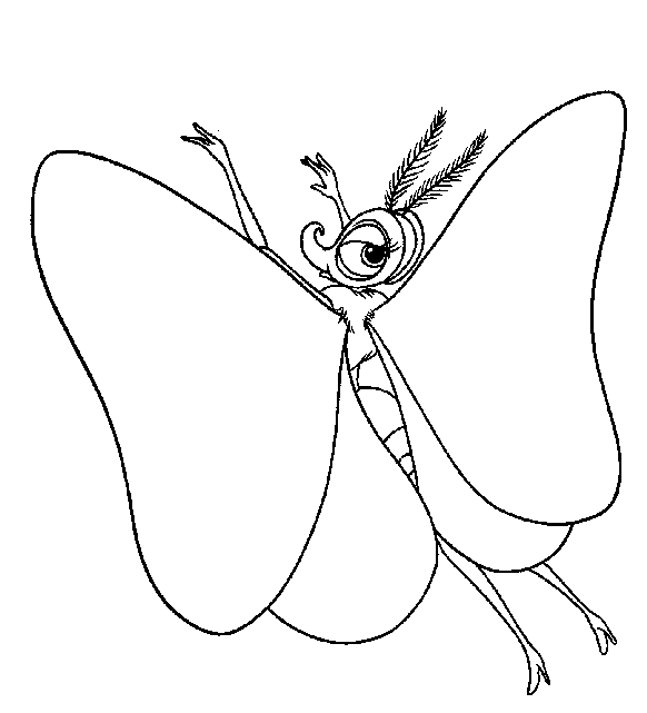coloriage 1001 pattes le joli papillon